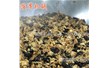 大型炒菜機什么加熱方式好多少錢(qián)