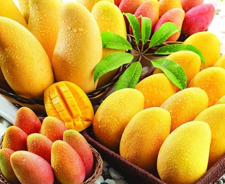 芒果大家都會(huì )吃 可芒果餡料怎么吃呢